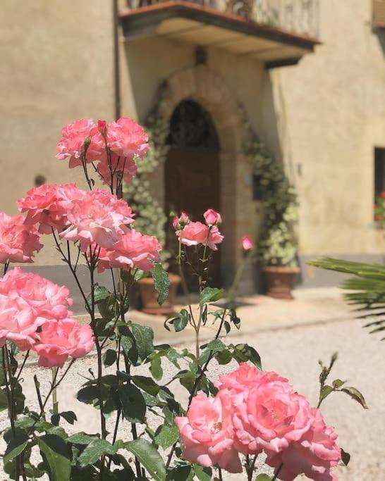 "Villa Bizzi" Monte Castelli Kültér fotó
