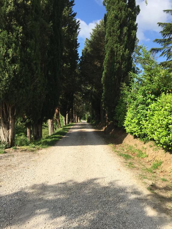 "Villa Bizzi" Monte Castelli Kültér fotó