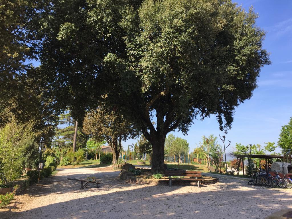 "Villa Bizzi" Monte Castelli Kültér fotó