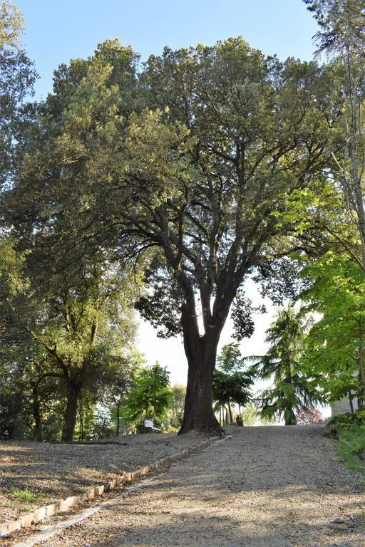 "Villa Bizzi" Monte Castelli Kültér fotó